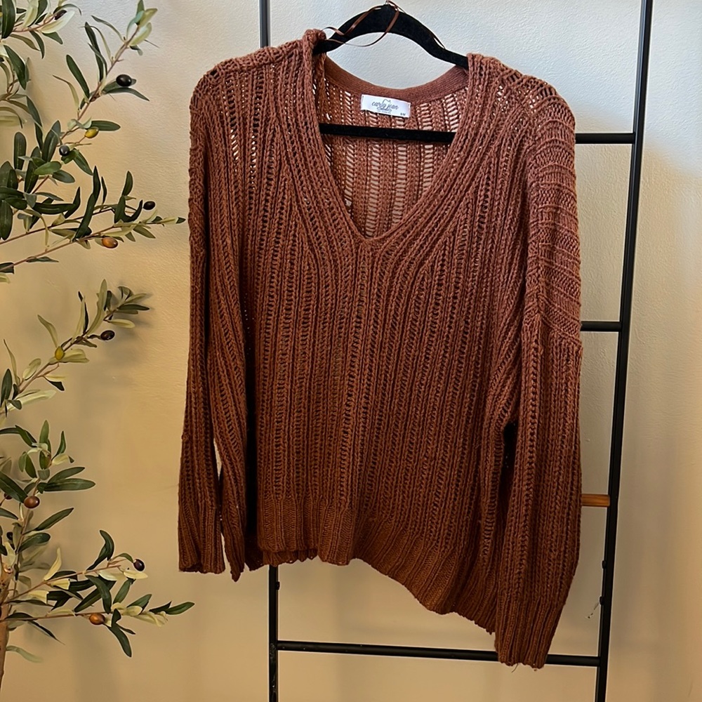A Carly Jean Los Angeles V-neck Sweater!